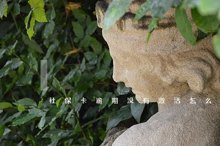 社保卡逾期没有激活怎么办 社保卡逾期没有激活怎么办
