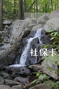 社保卡逾期激活码 社保卡逾期激活码
