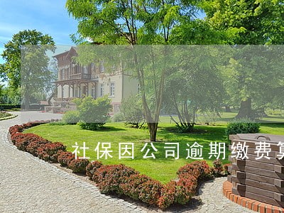 社保因公司逾期缴费算不交吗 社保因公司逾期缴费算不交吗