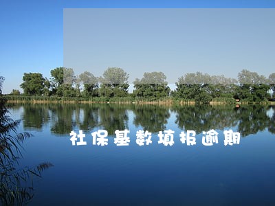 社保基数填报逾期 社保基数填报逾期
