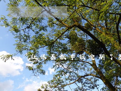 社保基数申报逾期了基数上调 社保基数申报逾期了基数上调