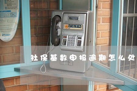 社保基数申报逾期怎么处理 社保基数申报逾期怎么处理