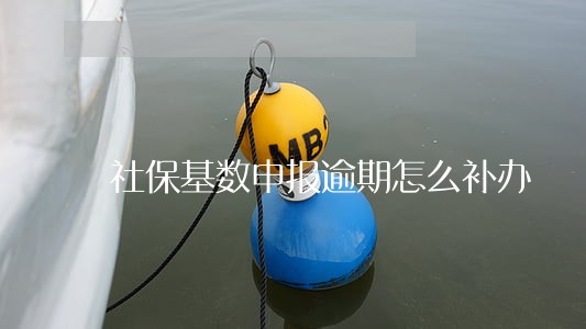 社保基数申报逾期怎么补办 社保基数申报逾期怎么补办