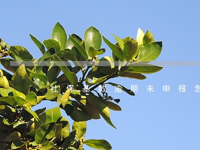社保基数逾期未申报怎么办 社保基数逾期未申报怎么办