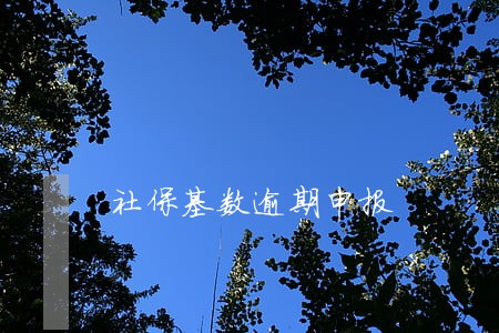 社保基数逾期申报 社保基数逾期申报