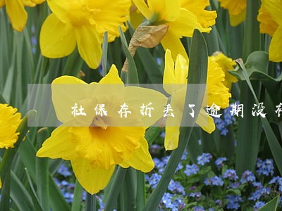 社保存折丢了逾期没补 社保存折丢了逾期没补