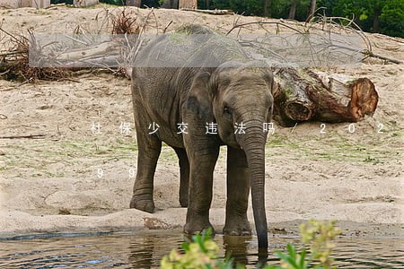 社保少交违法吗/2023013011199 社保少交违法吗/2023013011199