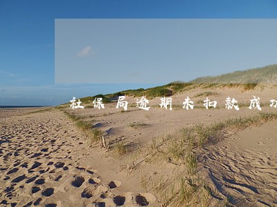 社保局逾期未扣款成功