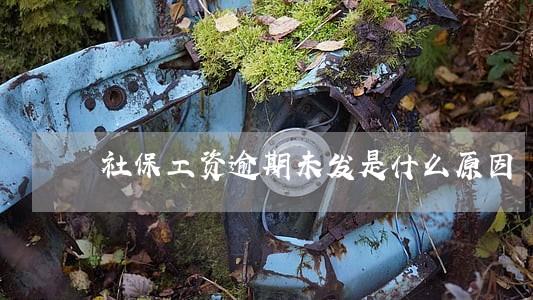 社保工资逾期未发是什么原因