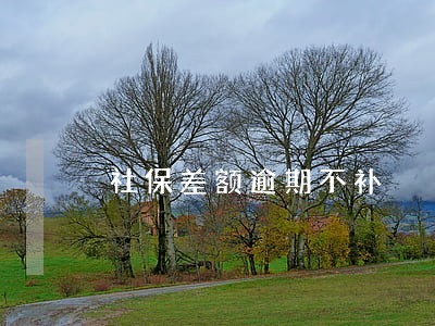社保差额逾期不补 社保差额逾期不补