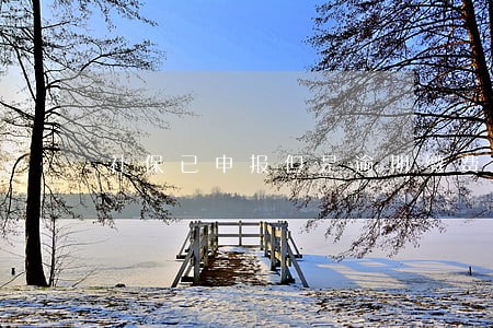 社保已申报但是逾期缴费 社保已申报但是逾期缴费