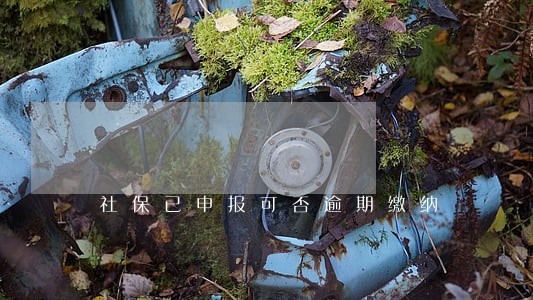 社保已申报可否逾期缴纳 社保已申报可否逾期缴纳