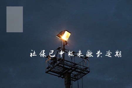 社保已申报未缴费逾期 社保已申报未缴费逾期