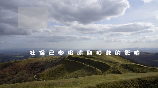 社保已申报逾期扣款的影响