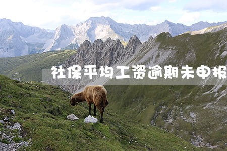 社保平均工资逾期未申报 社保平均工资逾期未申报