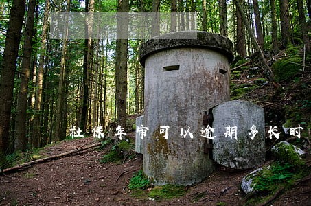 社保年审可以逾期多长时间 社保年审可以逾期多长时间