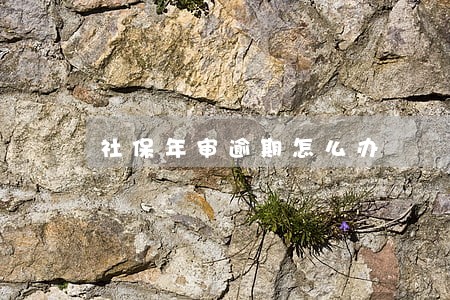 社保年审逾期怎么办 社保年审逾期怎么办