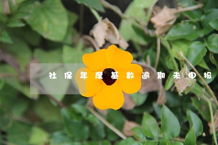 社保年度基数逾期未申报 社保年度基数逾期未申报