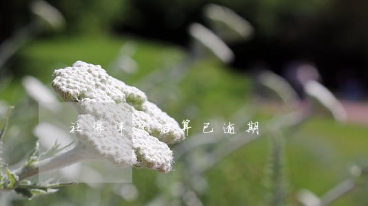 社保年度结算已逾期 社保年度结算已逾期