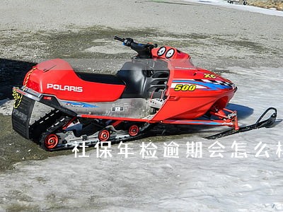 社保年检逾期会怎么样 社保年检逾期会怎么样