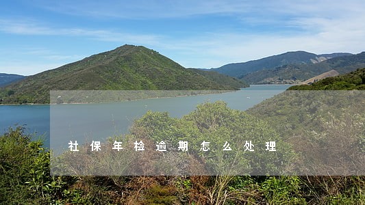 社保年检逾期怎么处理 社保年检逾期怎么处理