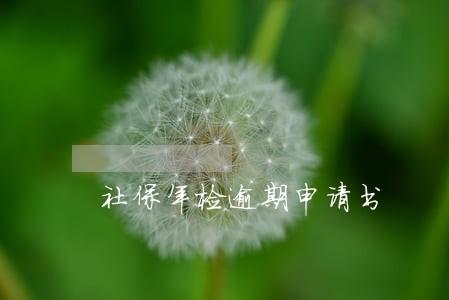 社保年检逾期申请书 社保年检逾期申请书
