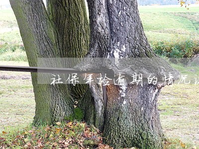 社保年检逾期的情况说明怎么写 社保年检逾期的情况说明怎么写