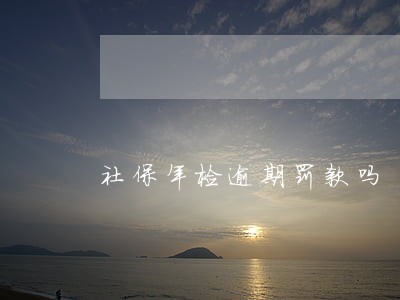 社保年检逾期罚款吗 社保年检逾期罚款吗