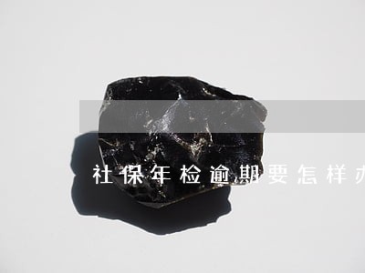 社保年检逾期要怎样办 社保年检逾期要怎样办