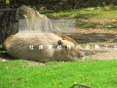 社保年检预约逾期了怎么办 社保年检预约逾期了怎么办