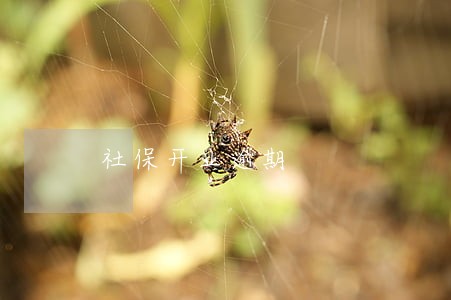 社保开业逾期 社保开业逾期