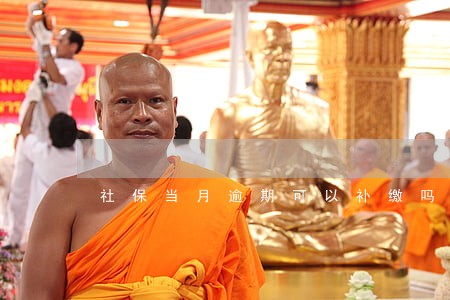 社保当月逾期可以补缴吗 社保当月逾期可以补缴吗