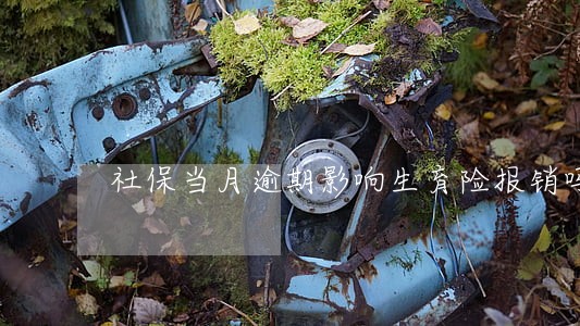 社保当月逾期影响生育险报销吗 社保当月逾期影响生育险报销吗