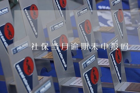 社保当月逾期未申报吗 社保当月逾期未申报吗