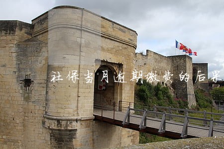 社保当月逾期缴费的后果 社保当月逾期缴费的后果
