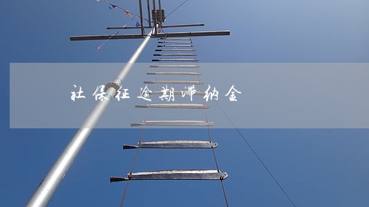 社保征逾期滞纳金 社保征逾期滞纳金