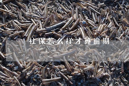 社保怎么样才算逾期 社保怎么样才算逾期