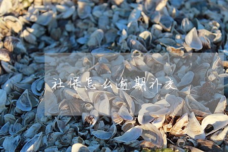 社保怎么逾期补交 社保怎么逾期补交