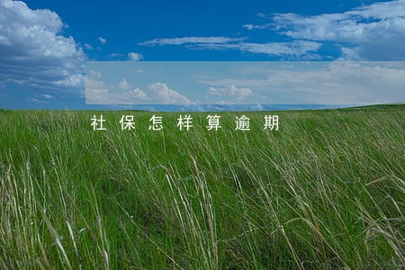 社保怎样算逾期 社保怎样算逾期
