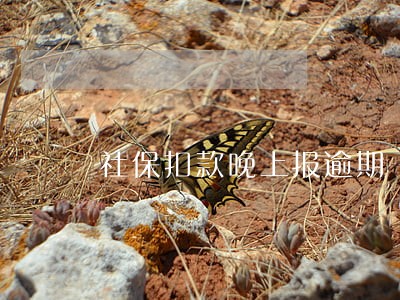 社保扣款晚上报逾期 社保扣款晚上报逾期