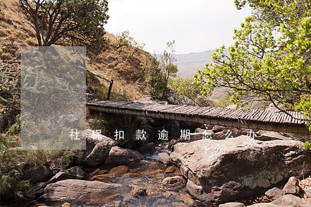 社保扣款逾期怎么办 社保扣款逾期怎么办