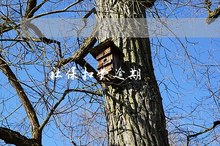 社保扣费逾期 社保扣费逾期