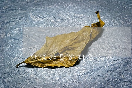 社保扣费逾期怎么办 社保扣费逾期怎么办