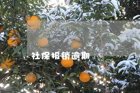 社保报销逾期 社保报销逾期