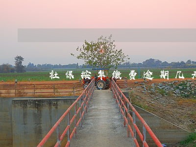 社保按年缴费逾期几天怎么办 社保按年缴费逾期几天怎么办
