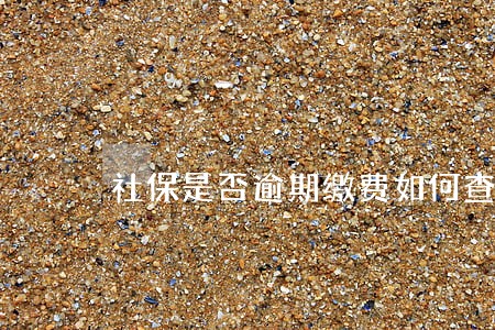 社保是否逾期缴费如何查询 社保是否逾期缴费如何查询