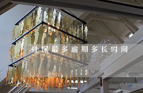 社保最多逾期多长时间 社保最多逾期多长时间