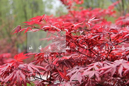 社保有逾期会影响买房子吗 社保有逾期会影响买房子吗