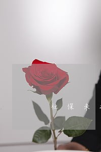 社保未扣款多久算逾期 社保未扣款多久算逾期