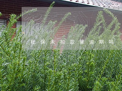 社保未扣款算逾期吗